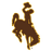 Wyoming Cowboys